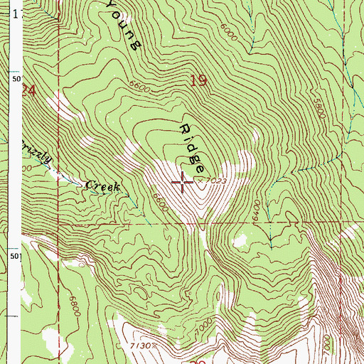 Topographic Map of Young Ridge, OR