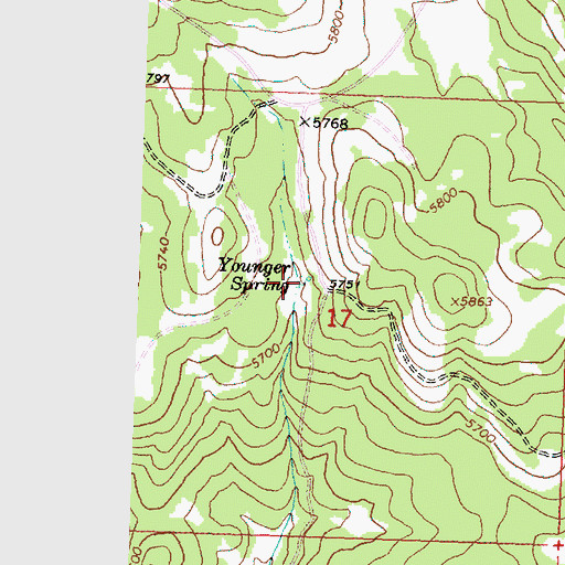 Topographic Map of Younger Spring, OR