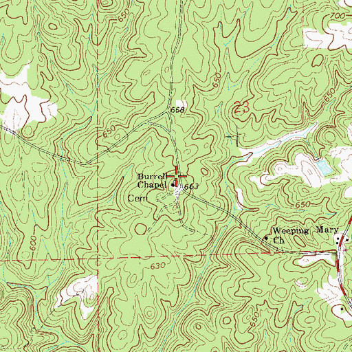 Topographic Map of Burrell Chapel, AL