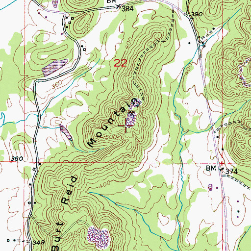 Topographic Map of Burt Reid Mountain, AL