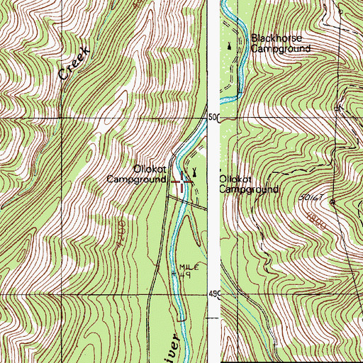 Topographic Map of Ollokot Recreation Site, OR