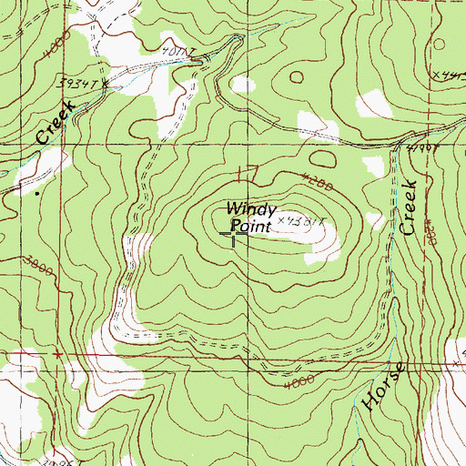 Topographic Map of Windy Point, OR