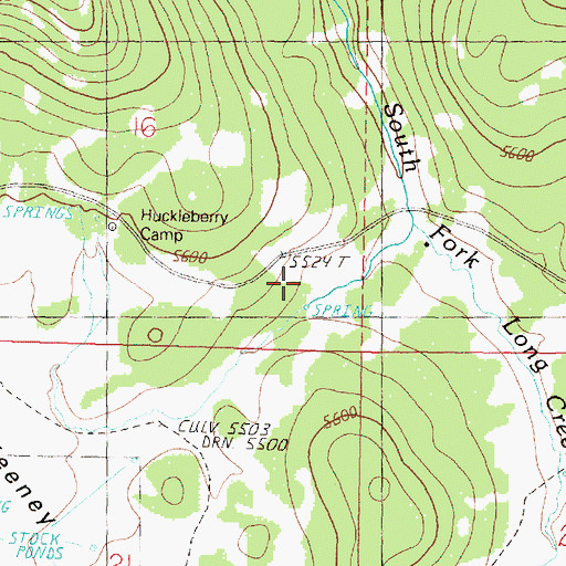 Topographic Map of Huckleberry Spring, OR