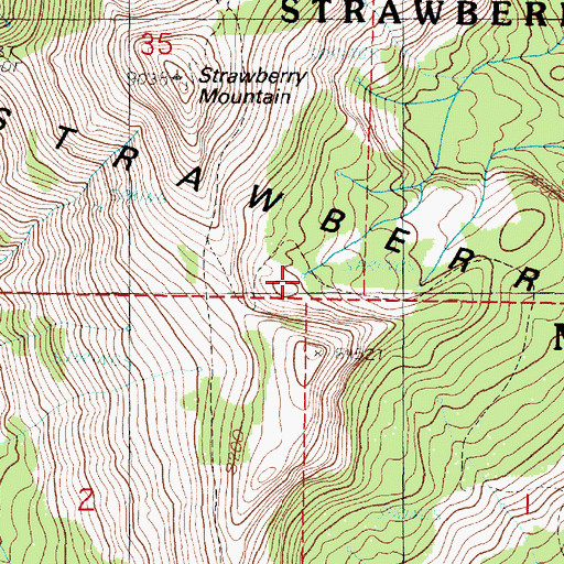 Topographic Map of Strawberry Spring, OR
