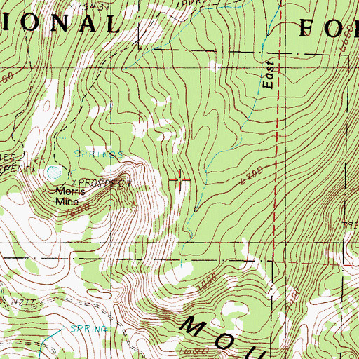 Topographic Map of Morris Basin, OR