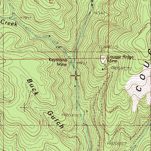 Topographic Map of Buck Gulch, OR