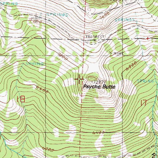 Topographic Map of Psyche Butte, OR
