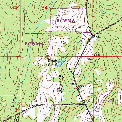 Topographic Map of Bush Pond, AL