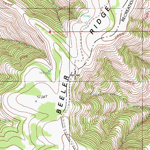 Topographic Map of Gowing Spring, OR