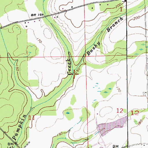 Topographic Map of Bushy Branch, AL