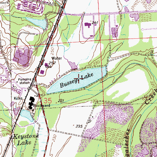Topographic Map of Busseys Lake, AL
