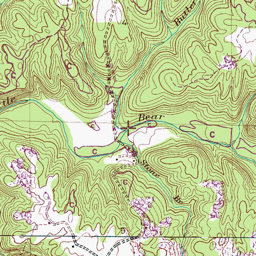 Topographic Map of Butler Branch, AL