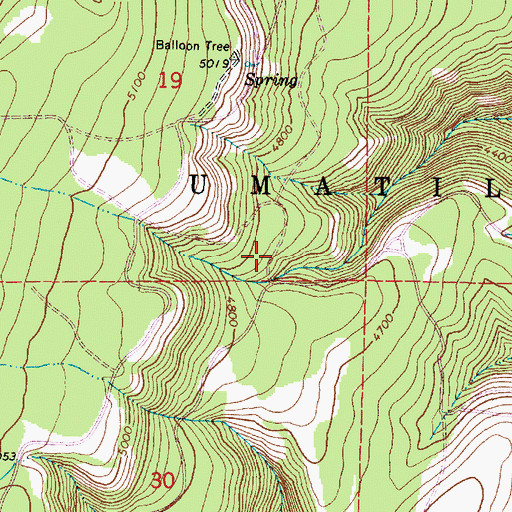 Topographic Map of Lady Spring, OR