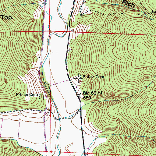 Topographic Map of Butler Cemetery, AL