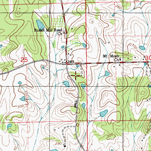 Topographic Map of Butler Mill Church, AL