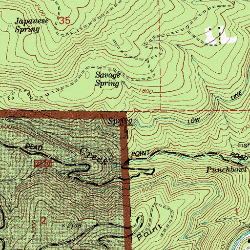 Topographic Map of Savage Springs, OR