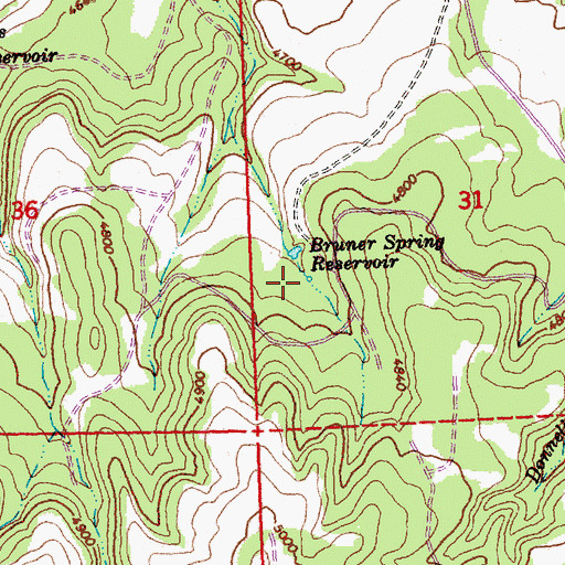 Topographic Map of Bruner Spring, OR