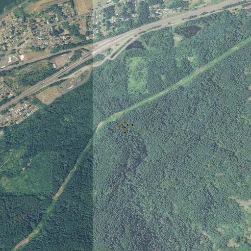Aerial/Satellite Image of Cascade Spring, OR