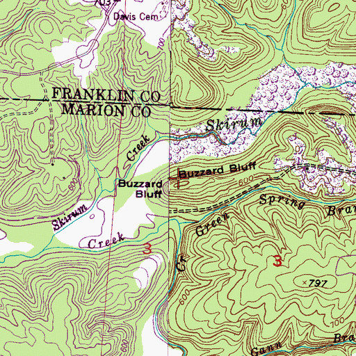 Topographic Map of Buzzard Bluff, AL
