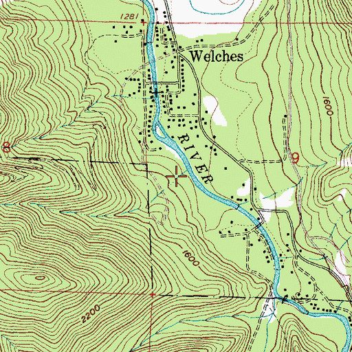 Topographic Map of Welches Creek, OR