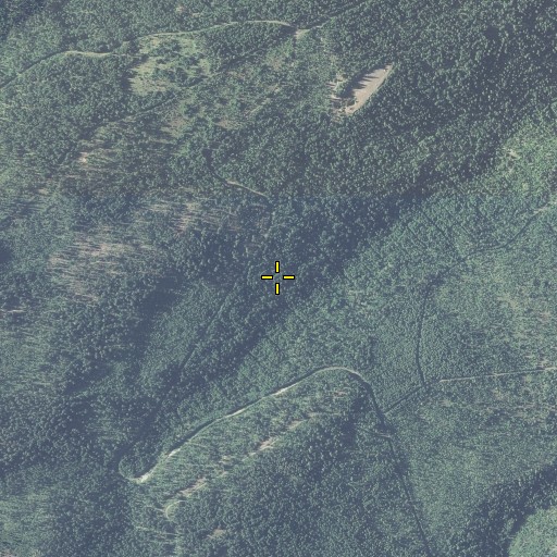 Aerial/Satellite Image of Bascom Spring, OR