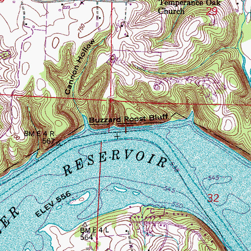 Topographic Map of Buzzard Roost Bluff, AL