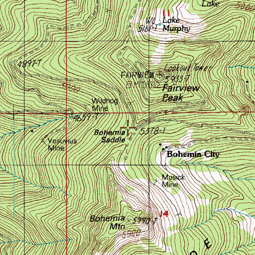 Topographic Map of Bohemia Saddle, OR