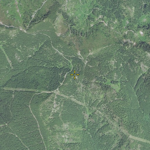 Aerial/Satellite Image of Steampot Saddle, OR