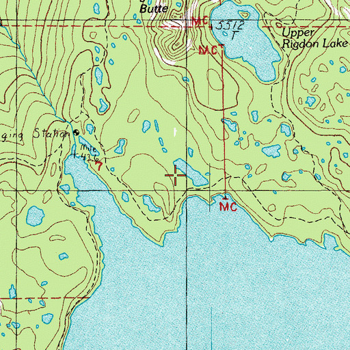 Topographic Map of Conim Lake, OR