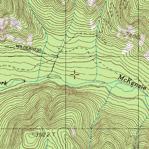 Topographic Map of Bull Creek, OR