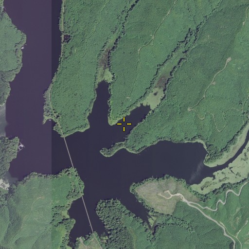 Aerial/Satellite Image of Cherry Arm, OR