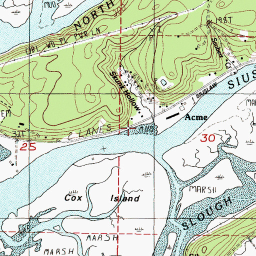 Topographic Map of Skunk Creek, OR
