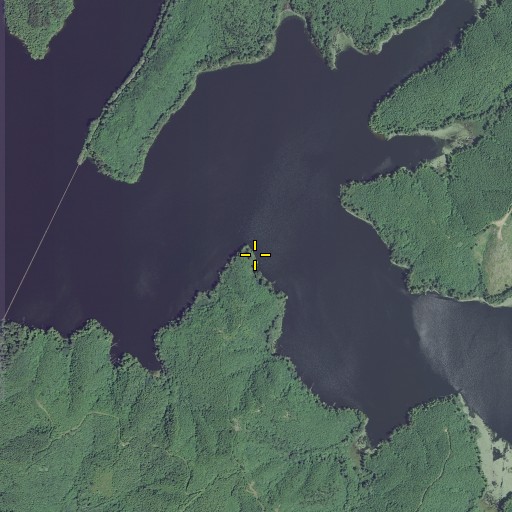 Aerial/Satellite Image of Lone Tree Point, OR