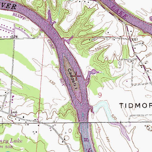 Topographic Map of Caddell Island, AL