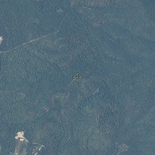 Aerial/Satellite Image of Caffey Hill, AL