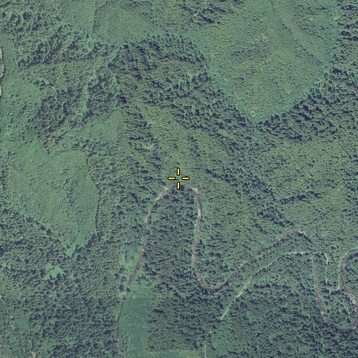 Aerial/Satellite Image of Horseshoe Bend, OR