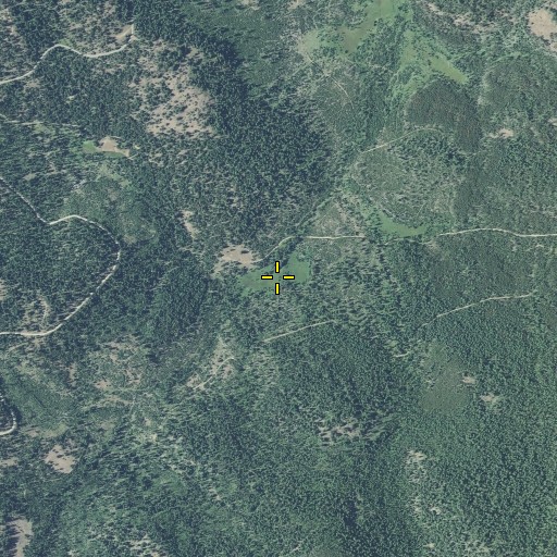 Aerial/Satellite Image of Morrow Meadow, OR