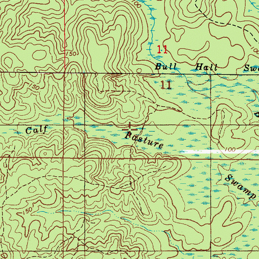 Topographic Map of Calf Pasture Swamp, AL
