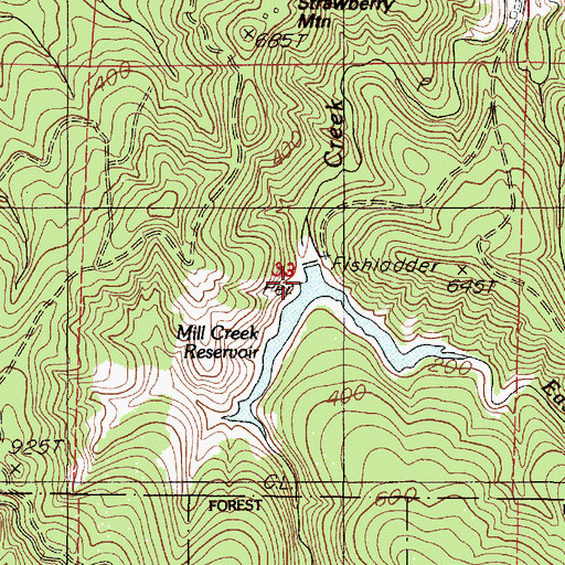 Topographic Map of Mill Creek Dam, OR