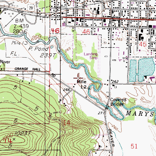 Topographic Map of Skirvin Air Park (historical), OR