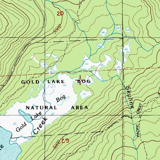 Topographic Map of Ray Creek, OR