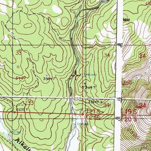 Topographic Map of Alkali Spring, OR