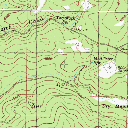 Topographic Map of Tamarack Spring, OR