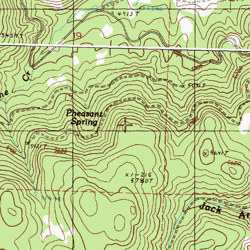 Topographic Map of Pheasant Spring, OR