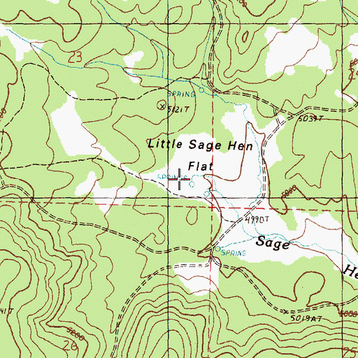 Topographic Map of Little Sage Hen Spring, OR