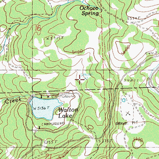 Topographic Map of Lake Spring, OR