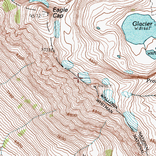 Topographic Map of Benson Glacier, OR