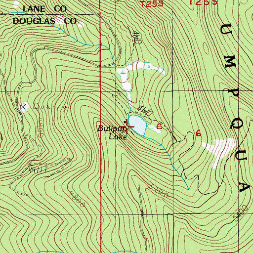 Topographic Map of Bullpup Lake, OR