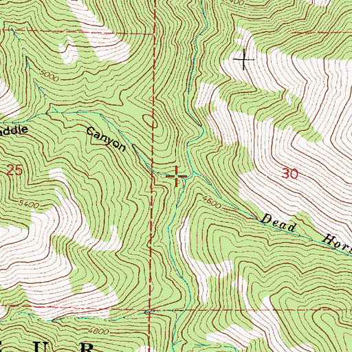 Topographic Map of Dead Horse Creek, OR