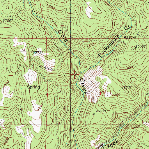 Topographic Map of Packsaddle Creek, OR